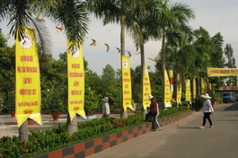 Chùm ảnh: Vùng Bảy Núi mừng Đại hội Phật giáo tỉnh